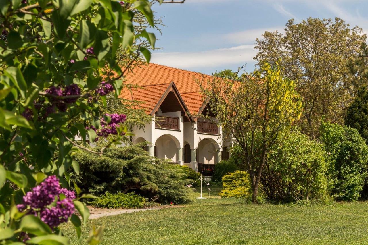 Hasik Hotel Magyarpolany Exterior photo