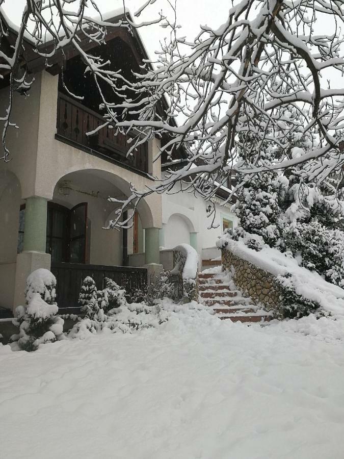 Hasik Hotel Magyarpolany Exterior photo